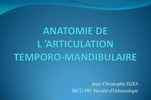 Le ligament stylo mandibulaire - Atlas