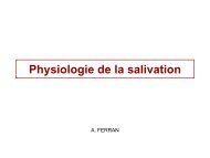 4- Physiologie des glandes salivaires