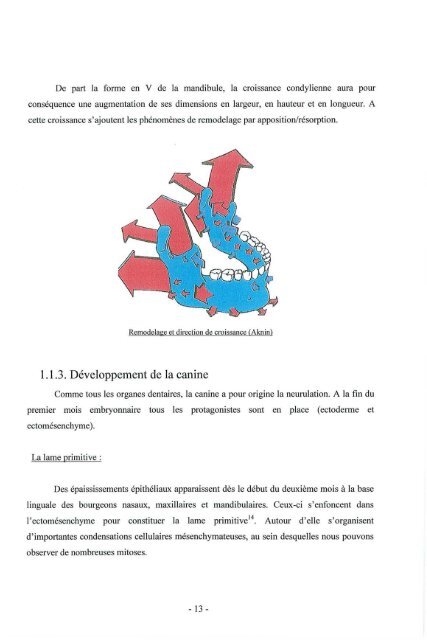 avertissement - Bibliothèques de l'Université de Lorraine