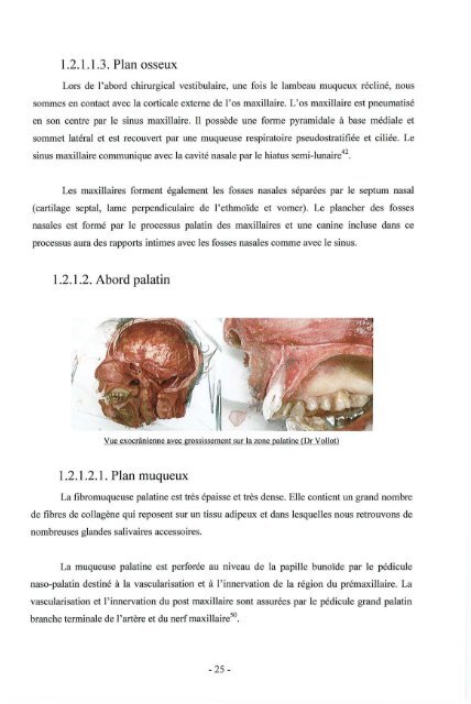 avertissement - Bibliothèques de l'Université de Lorraine