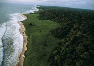 Les nouveaux parcs nationaux vont aider à générer de ... - Le Gabon