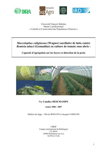 rapport candice tot - INRA Montpellier