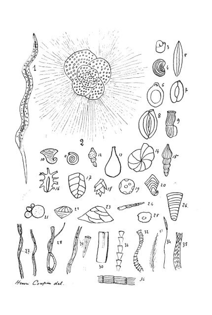 un petit microscope - Biblioteca Digital de Obras Raras e Especiais ...