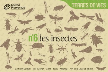 les insectes - Ouest Provence