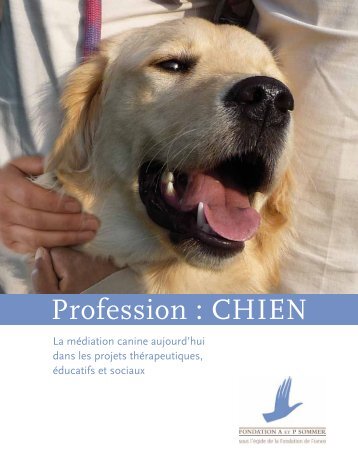 Profession : Chien - Fondation Adrienne et Pierre Sommer