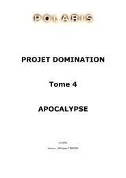 Projet_Domination_T4..