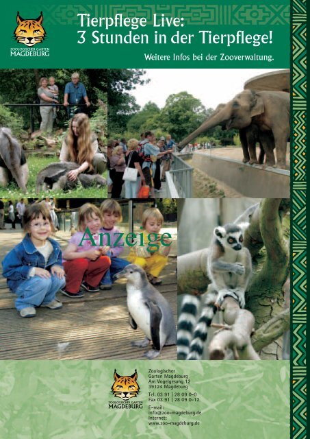 Felis News - Ausgabe 2006 - Zoo Magdeburg