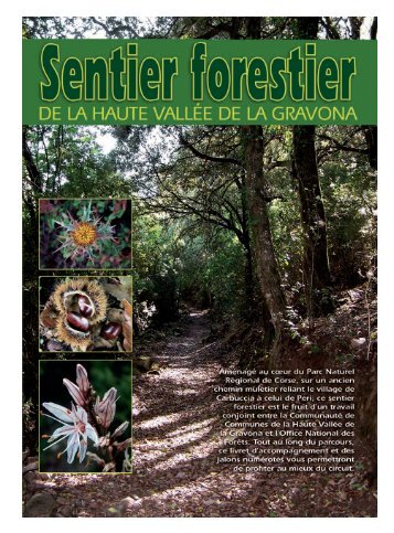 Sentier forestier (PDF) - Office du tourisme de la haute vallée de la ...