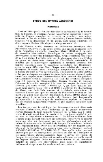 ETUDE DES HYPHES ASCOGENES - ASCOfrance