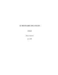LE BESTIAIRE DES ANGES roman - Terre Seconde