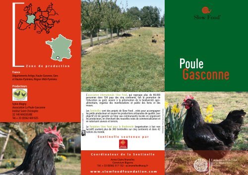 Poule Gasconne - Slow Food France