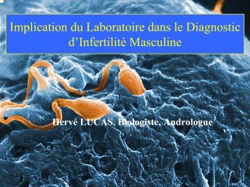 Implication du Laboratoire dans le Diagnostic d'Infertilité Masculine