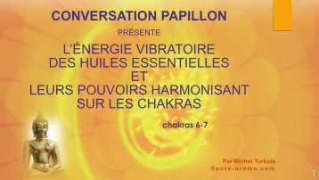 Le sixième et le septième chakras - Conversation Papillon