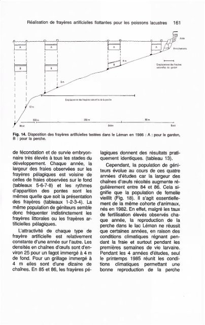 Réalisation de frayères artificielles flottantes pour les poissons ...