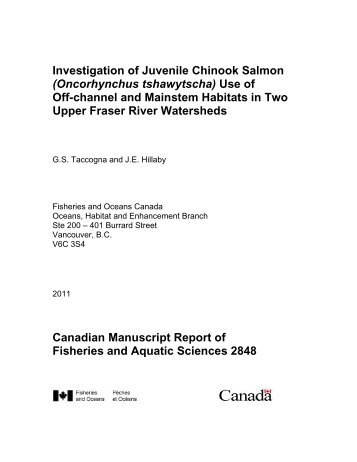 Investigation of juvenile Chinook salmon - Pêches et Océans Canada