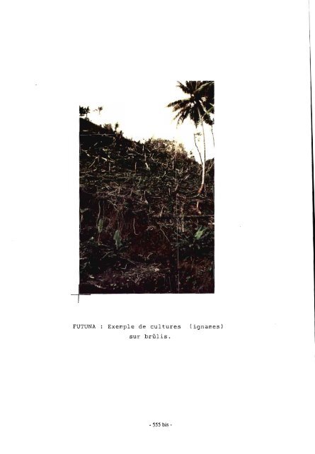 Espaces coloniaux et société polynésienne de Wallis-Futuna ... - IRD