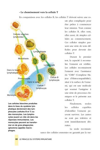 systeme_immunitaire