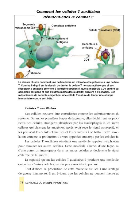 systeme_immunitaire