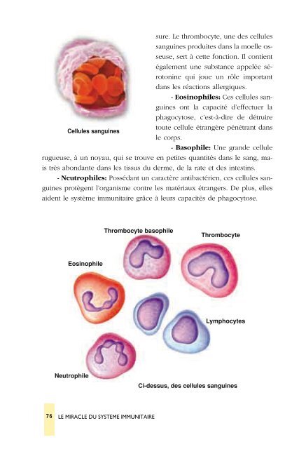 systeme_immunitaire