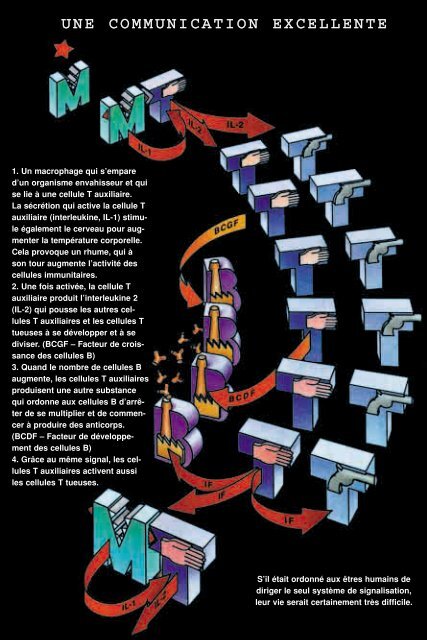 systeme_immunitaire