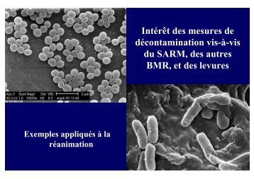 Mupirocine+chlorhexidine - Infectiologie
