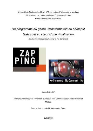 Du programme au genre, transformation du perceptif télévisuel au ...