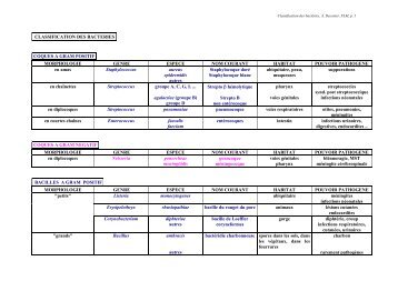 Classification des bactéries - Cours de Anne Decoster