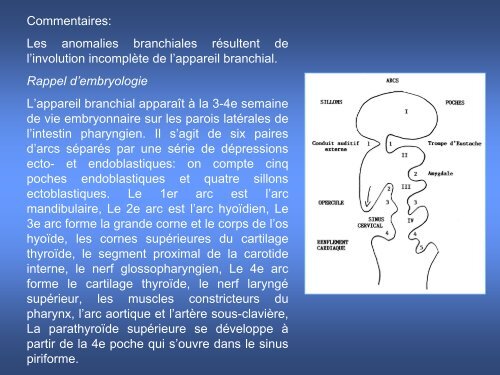 imagerie des masses kystiques cervicales de l'enfant - smorl