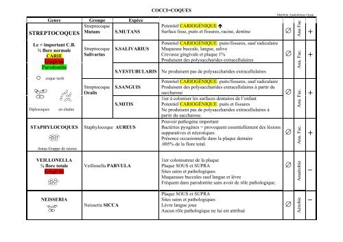 Tableau des microorganismes