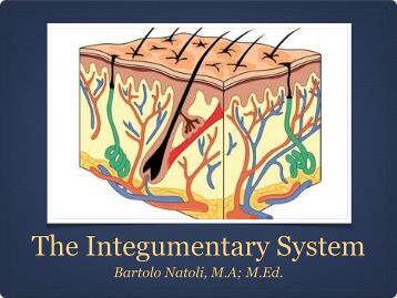 Pps trading system pdf