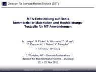 MEA-Entwicklung auf Basis kommerzieller Materialien und ...