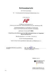 Entwicklung eines Niedertemperatur-Ethanoldampfreformers mit ...