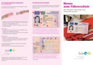 Neues Zum Fuhrerschein