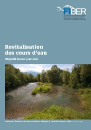 Revitalisation des cours d'eau - Fiber