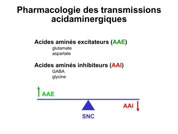 Les ligands allostériques des récepteurs GABA-A