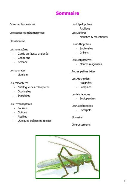 10- Les insectes et autres petites bêtes - Seine-Saint-Denis