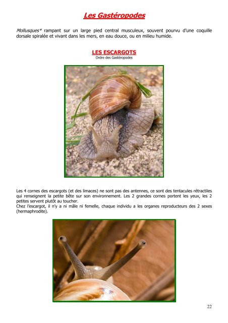 10- Les insectes et autres petites bêtes - Seine-Saint-Denis