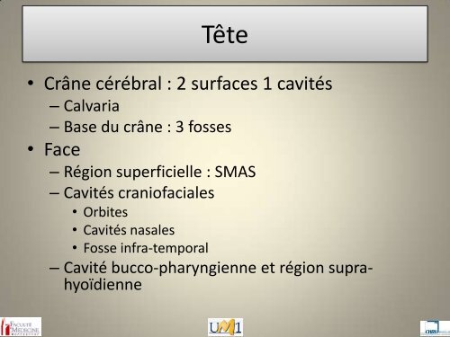 Anatomie topographique de la face et nerfs crâniens - Le Campus ...