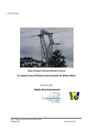 En rapport avec le Réseau Interconnecté du Woleu-Ntem - Coface