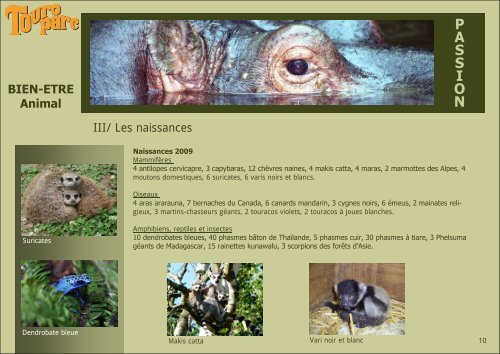 DOSSIER DE PRESSE 2010 Parc zoologique et d ... - Touroparc