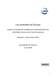 document de travail - Université de la Nouvelle-Calédonie