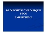 BRONCHITE CHRONIQUE BPCO EMPHYSEME - ifsi-paca