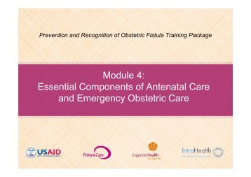 Essential Components of Antenatal Care and Emergency Obstetric ...