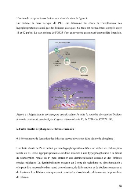 L. Galmiche.pdf - AFIAP