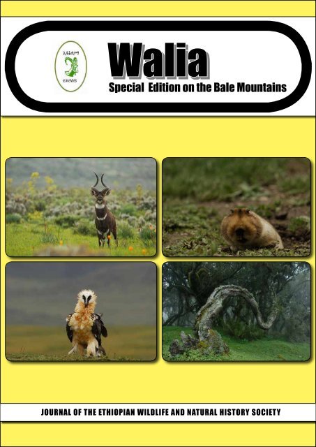 Walia Special Edition on the Bale Mountains (2011) - Zoologische ...