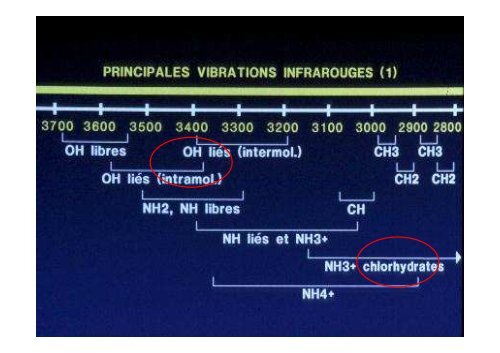 Caractéristiques biologiques et signification clinique - Les Jeudis de ...