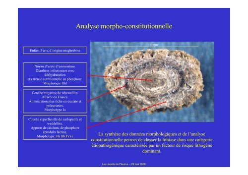 Caractéristiques biologiques et signification clinique - Les Jeudis de ...