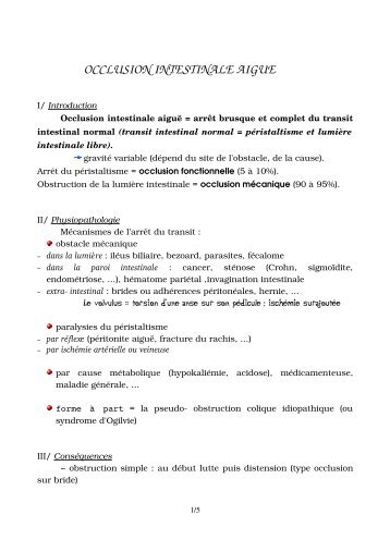 OCCLUSION INTESTINALE AIGUE - Mes annexes