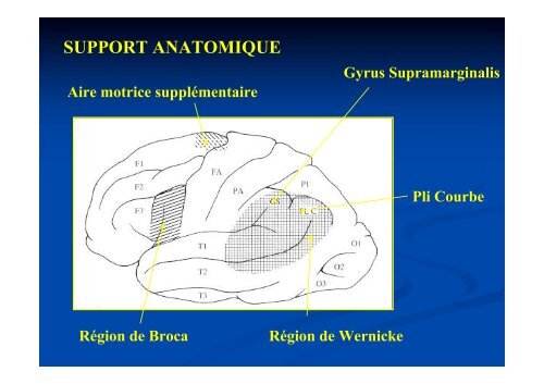 FONCTIONS COGNITIVES & EVALUATIONS - Cours de Capacité ...