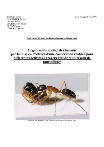 Organisation sociale des fourmis par la mise en évidence d ... - Accueil